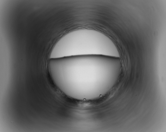X0000099460602200805090749