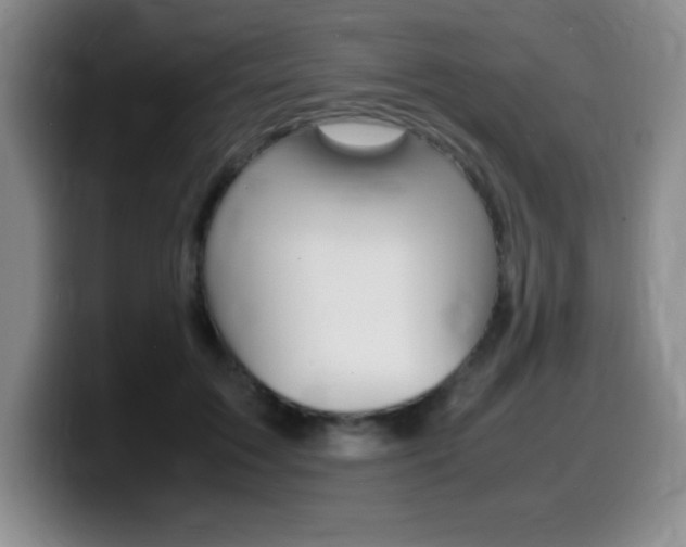 X0000099460603200805090749