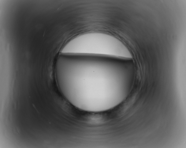 X0000099460604200805090749