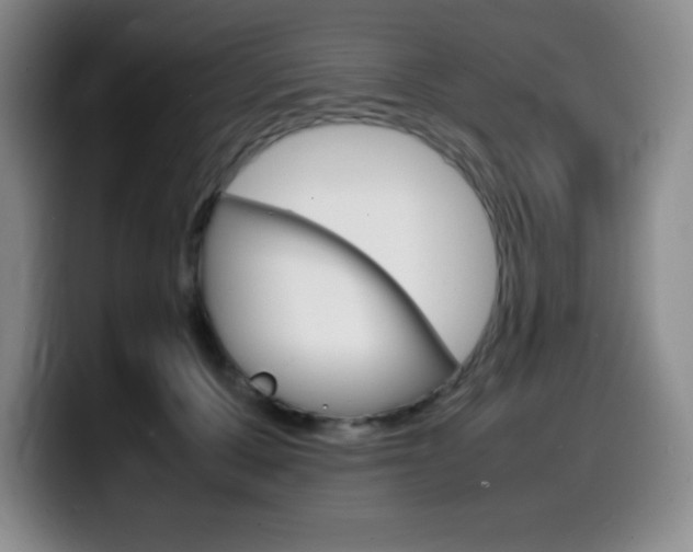 X0000099460607200805090749