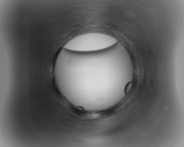 X0000099460610200805090749