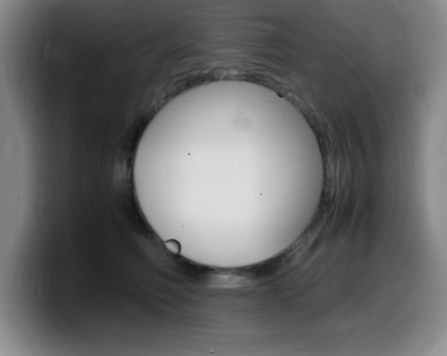 X0000099460614200805090749