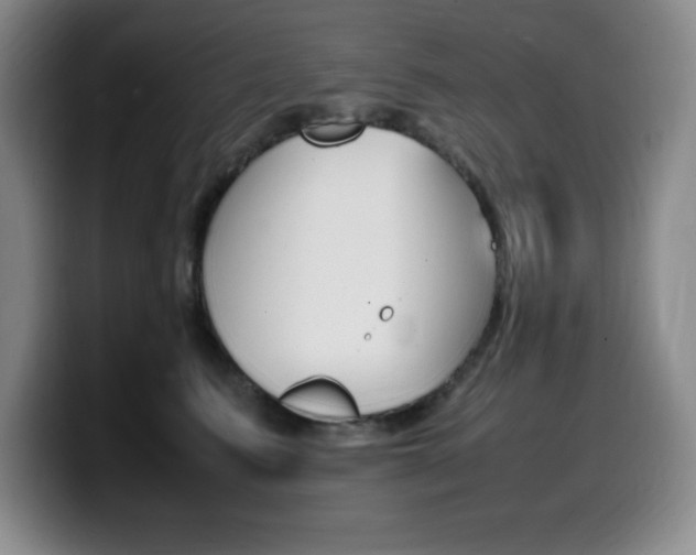 X0000099460615200805090749