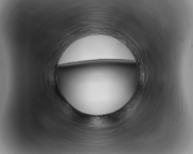 X0000099460616200805090749