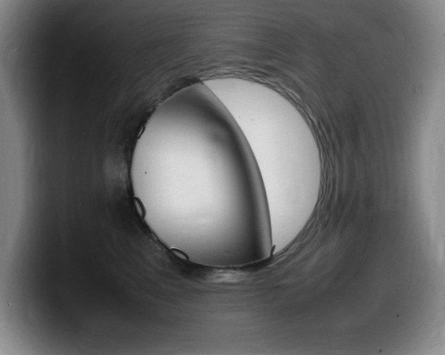 X0000099460617200805090748