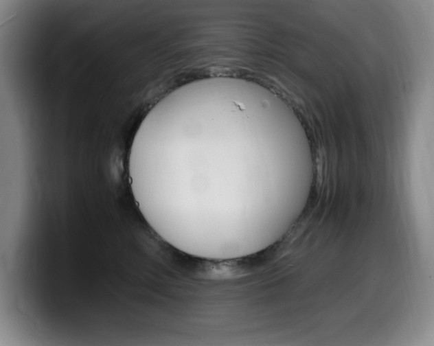 X0000099460618200805090748