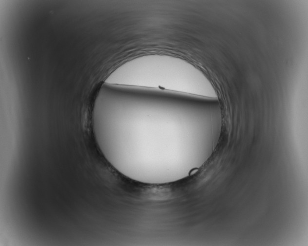 X0000099460619200805090748