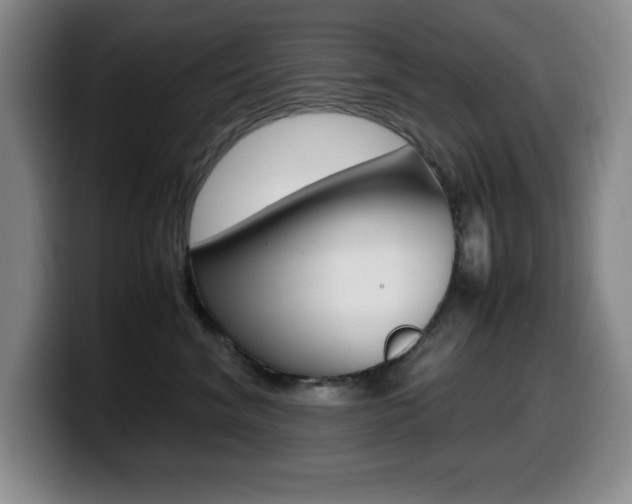 X0000099460620200805090748
