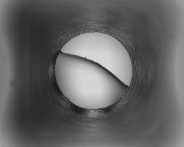 X0000099460623200805090748