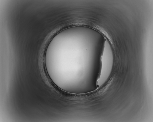 X0000099460625200805090748