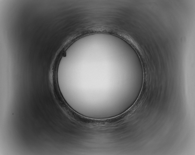 X0000099460626200805090748