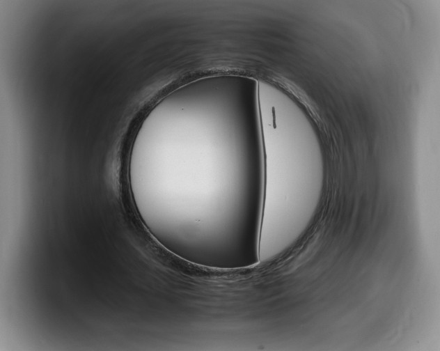 X0000099460627200805090748