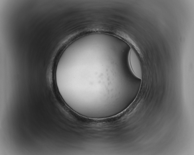 X0000099460629200805090748