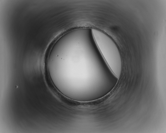 X0000099460630200805090748