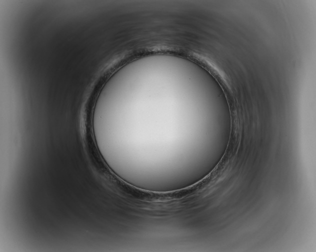 X0000099460631200805090748