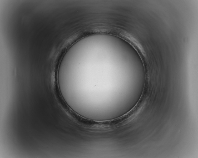 X0000099460633200805090748