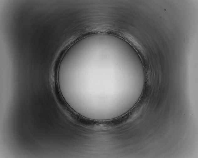 X0000099460634200805090748