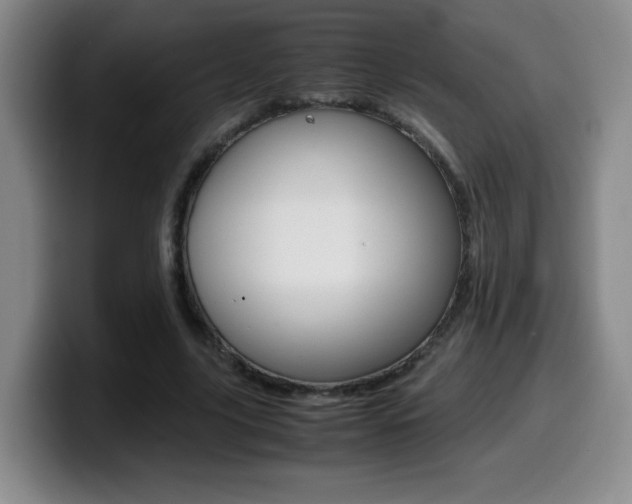 X0000099460635200805090748
