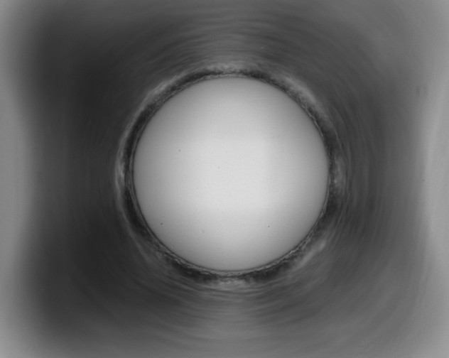 X0000099460636200805090748