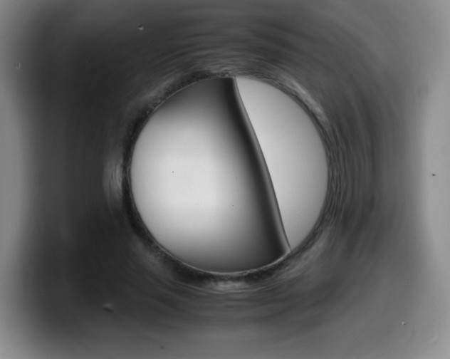 X0000099460637200805090748