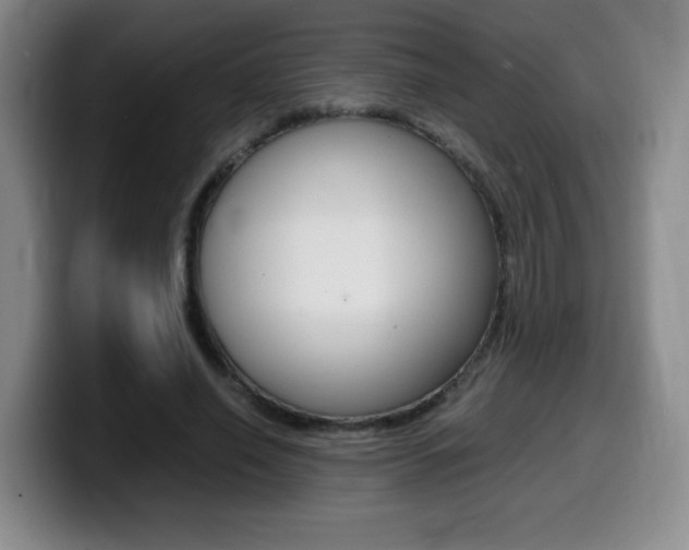 X0000099460638200805090748