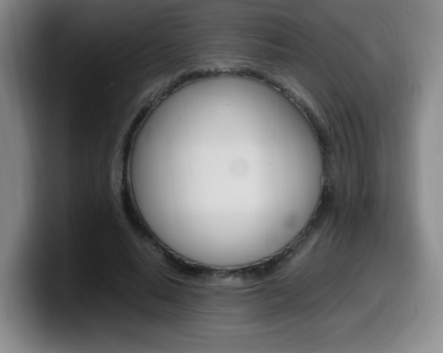 X0000099460640200805090748