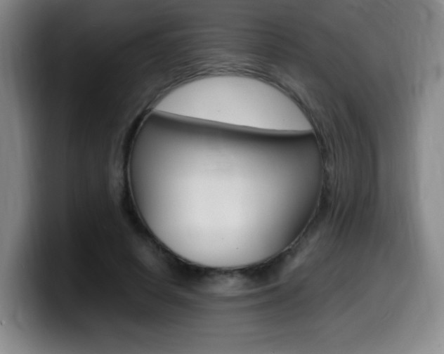 X0000099460642200805090748