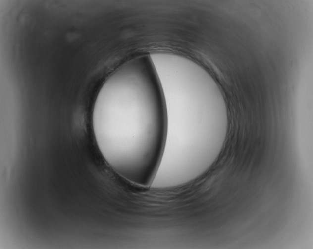 X0000099460643200805090748
