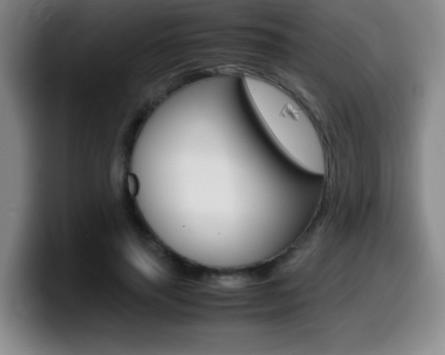 X0000099460645200805090748