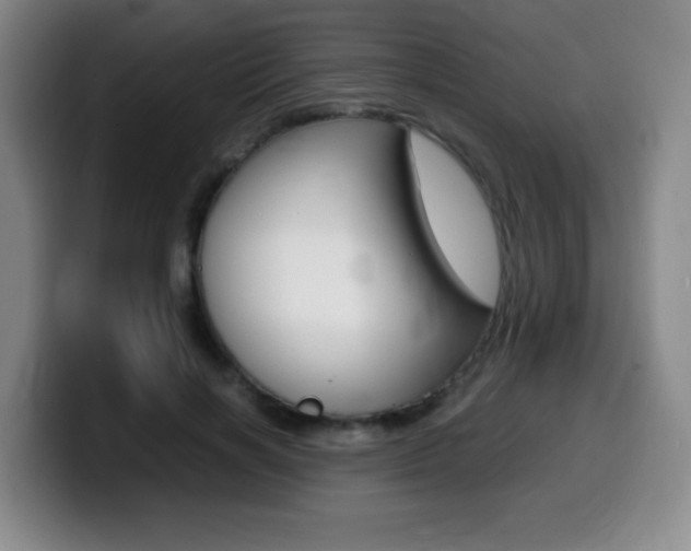 X0000099460646200805090748