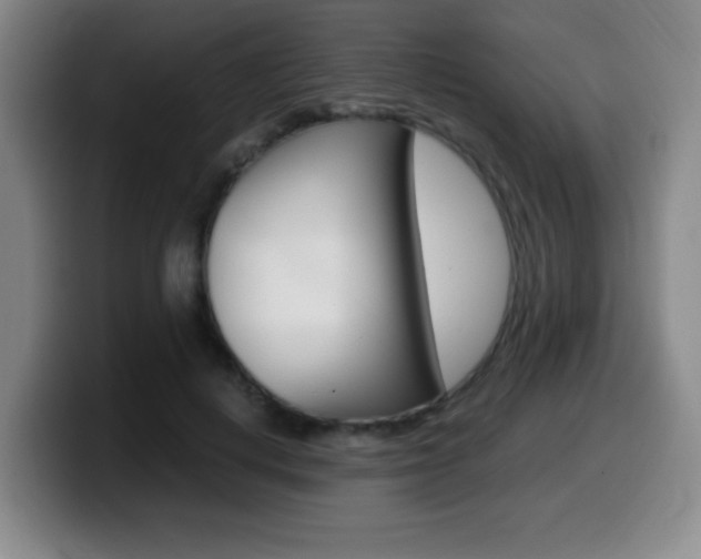 X0000099460648200805090748