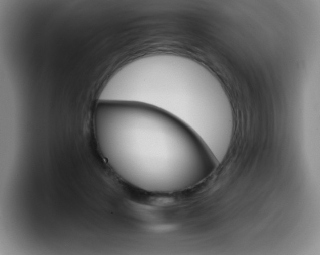 X0000099460649200805090748