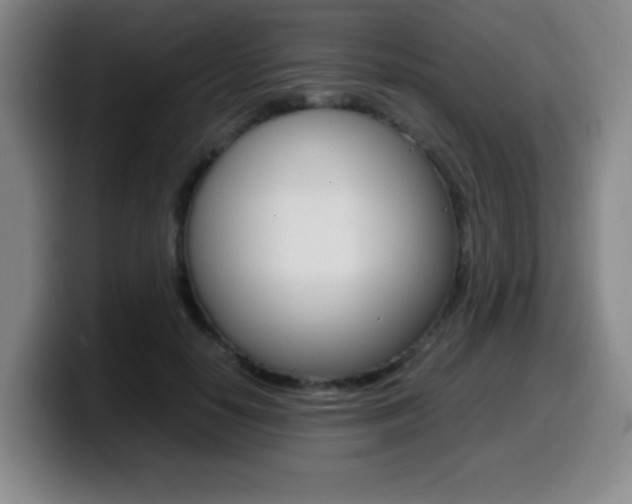 X0000099460650200805090748