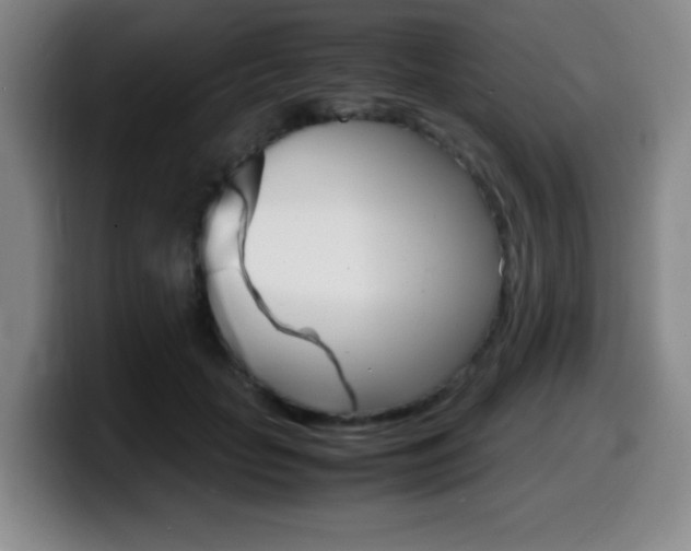 X0000099460653200805090748