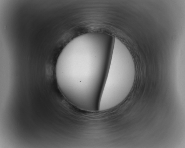 X0000099460654200805090748