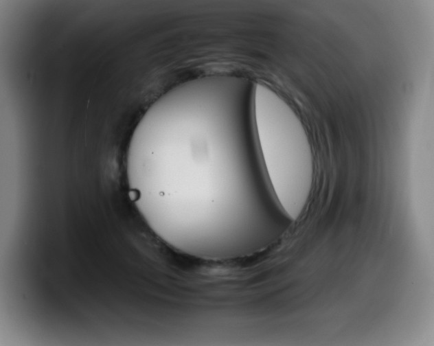 X0000099460655200805090748