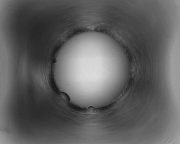 X0000099460656200805090748