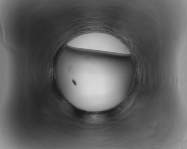 X0000099460657200805090748
