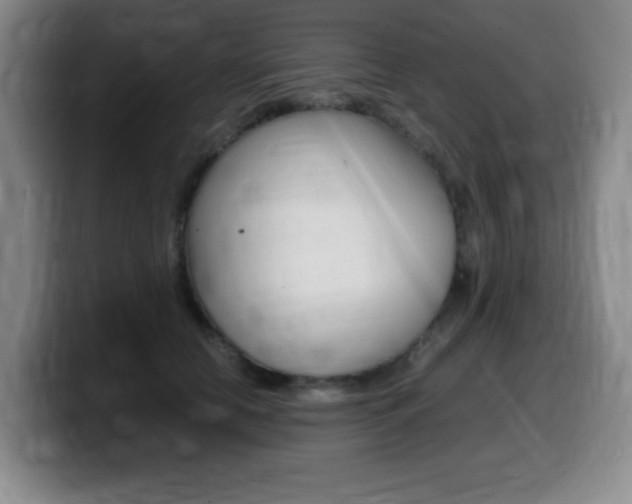 X0000099460658200805090748