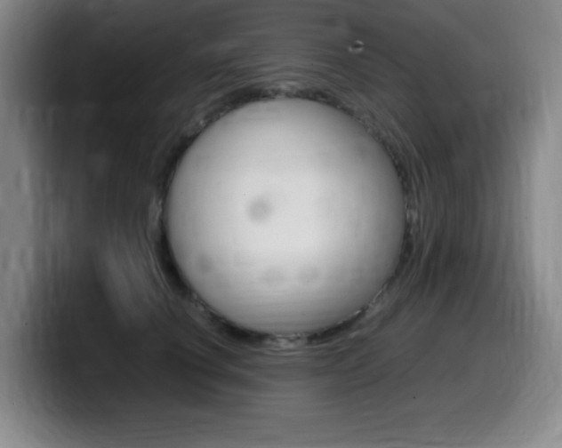 X0000099460660200805090748