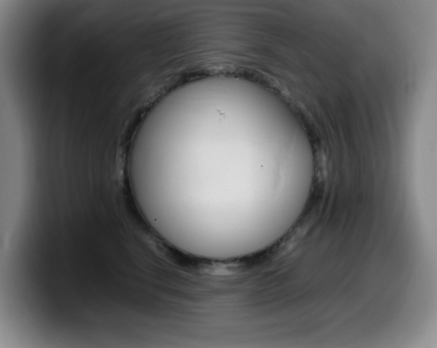 X0000099460664200805090748