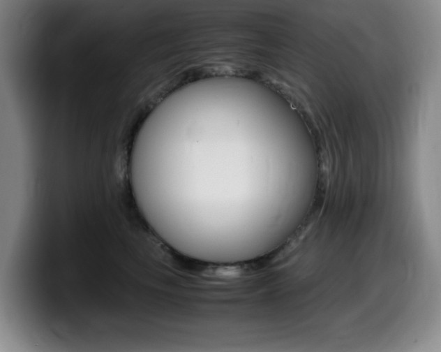 X0000099460665200805090748
