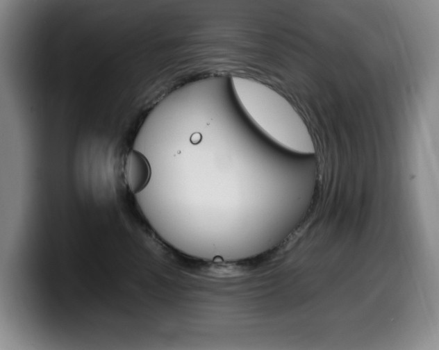 X0000099460666200805090748