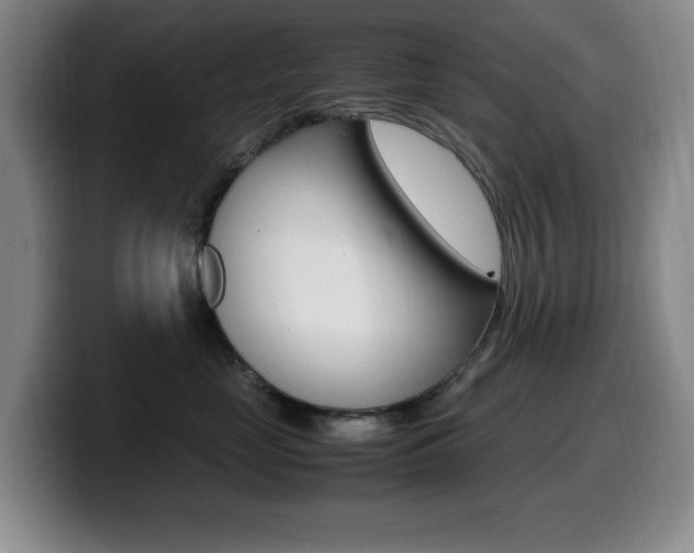 X0000099460669200805090748