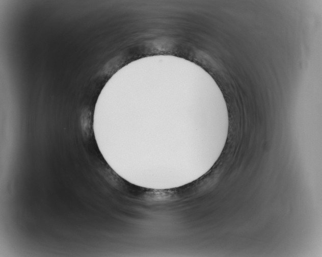 X0000099460672200805090748