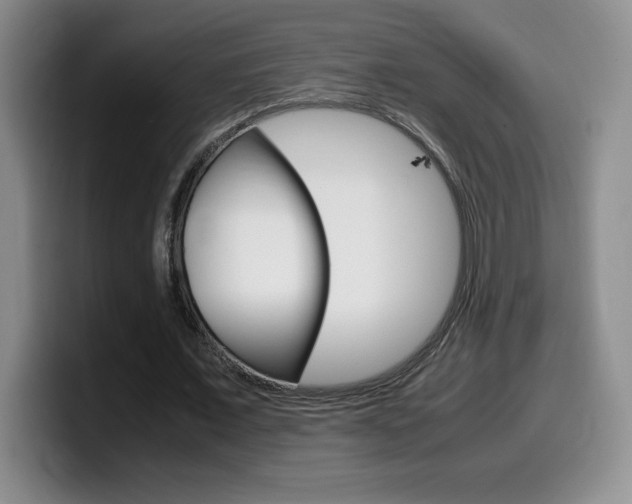 X0000099460675200805090748