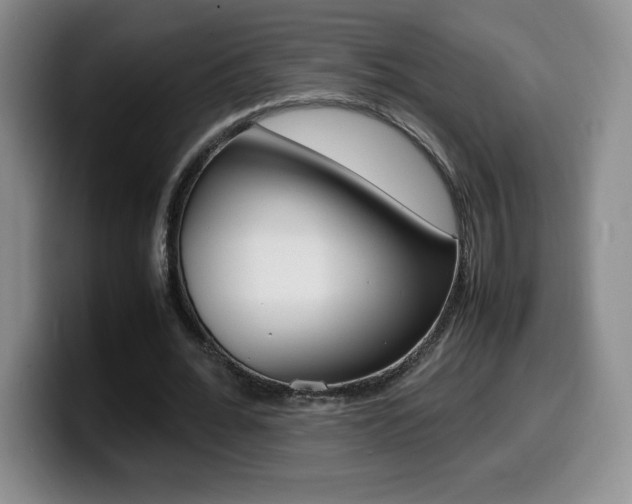 X0000099460676200805090748