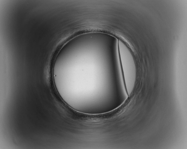 X0000099460677200805090748