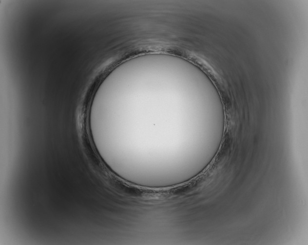 X0000099460679200805090748