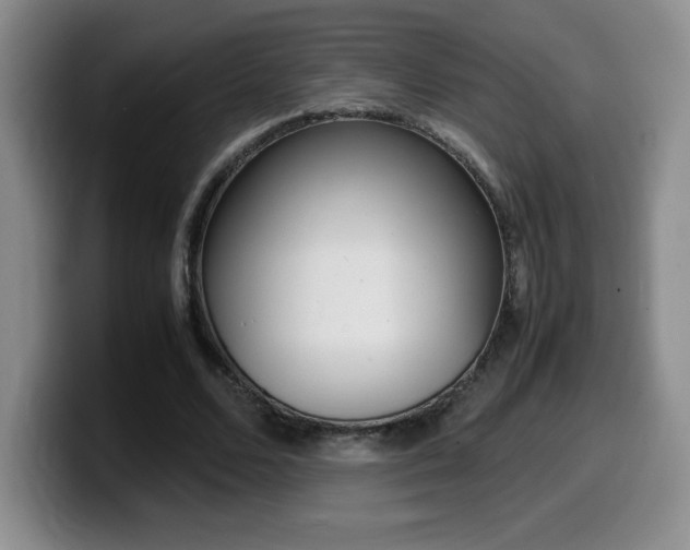 X0000099460680200805090748